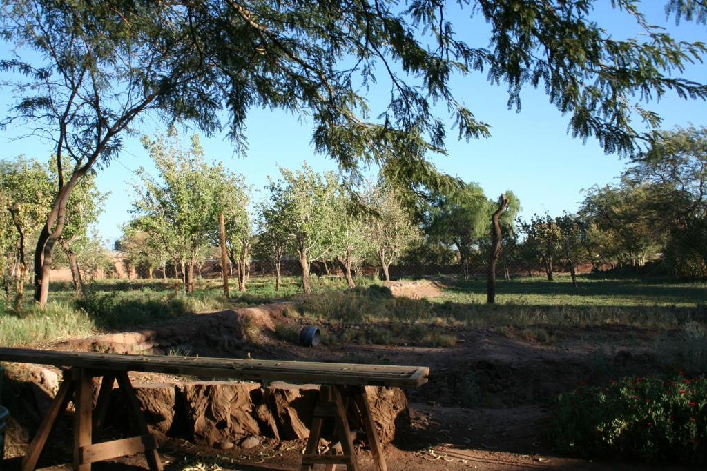 Quinta Adela Bed & Breakfast San Pedro De Atacama Extérieur photo