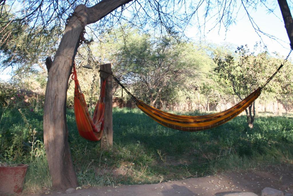 Quinta Adela Bed & Breakfast San Pedro De Atacama Extérieur photo